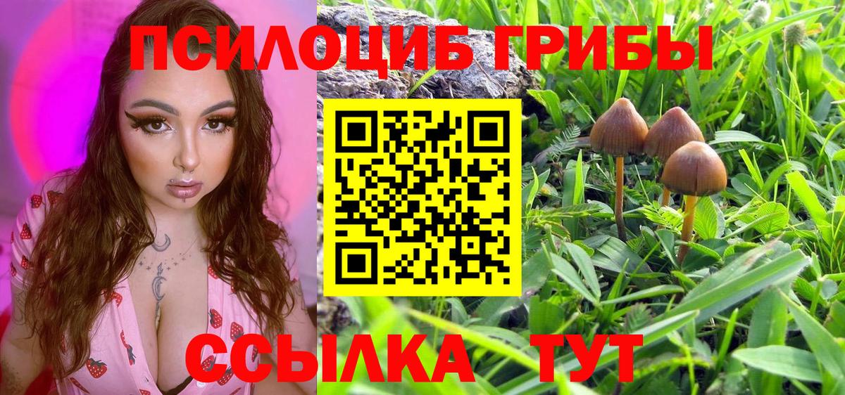Галлюциногенные грибы Psilocybine cubensis  Вход с VPN  Новосибирск 